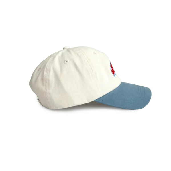 SIMON JOH® Dad Cap - Cleaning Logo